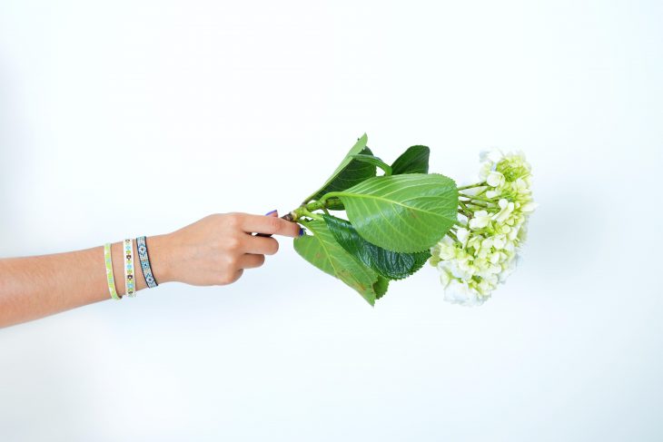 Giveaway Sustentabilidad