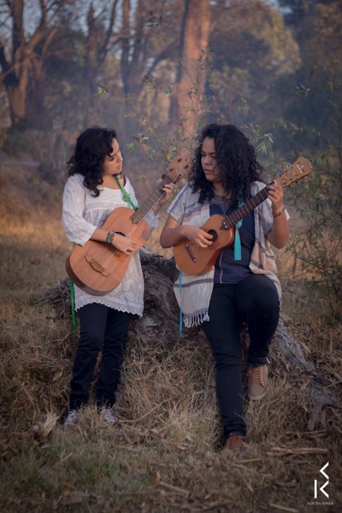 Dueto de guitarra grande: son jarocho sotaventino