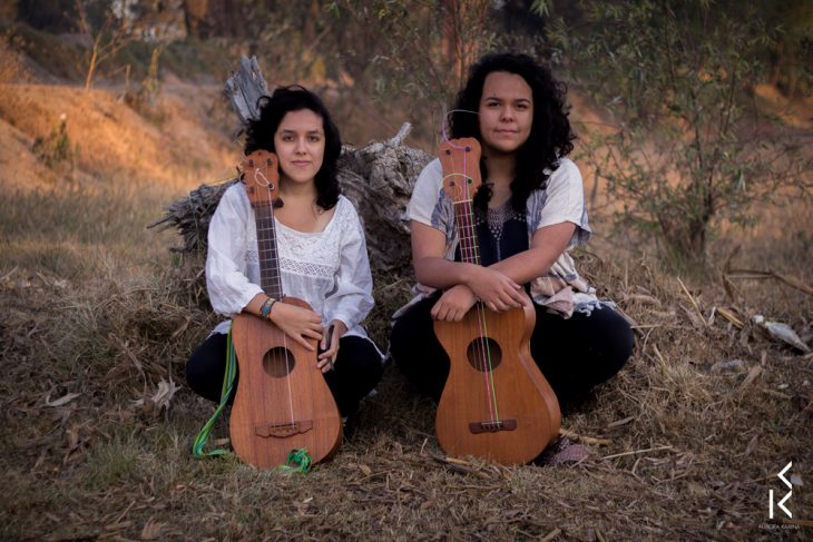 Dueto de guitarra grande: son jarocho sotaventino