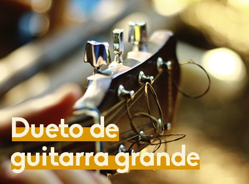 Dueto de guitarra grande: son jarocho sotaventino