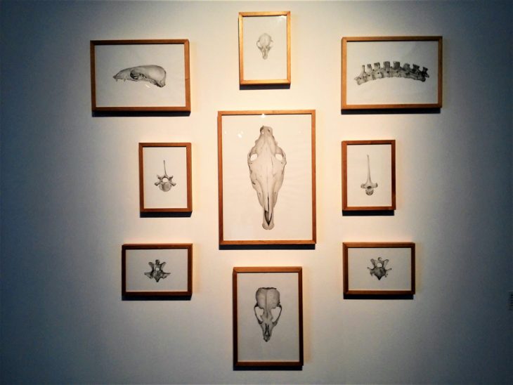 Dibujar en el presente