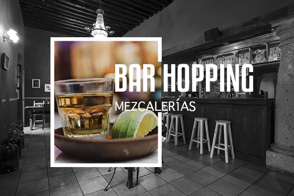 Bar Hopping 🌿