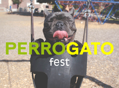 Perrogato Fest