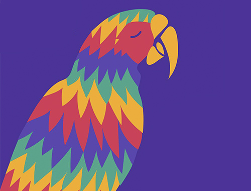 Guacamaya Festival 4ta Edición