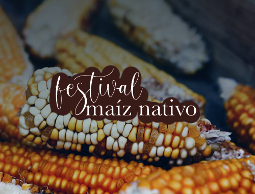 1er festival del maíz nativo