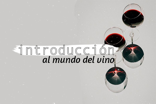 Introducción al mundo del vino