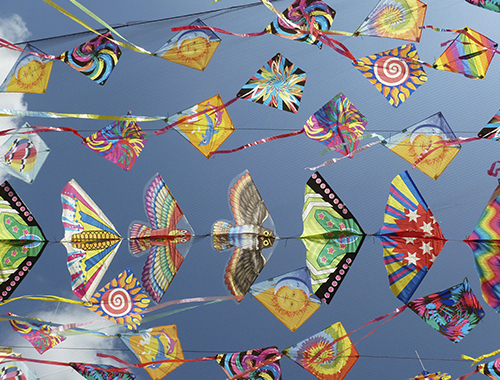 Festival Mundial del Papalote