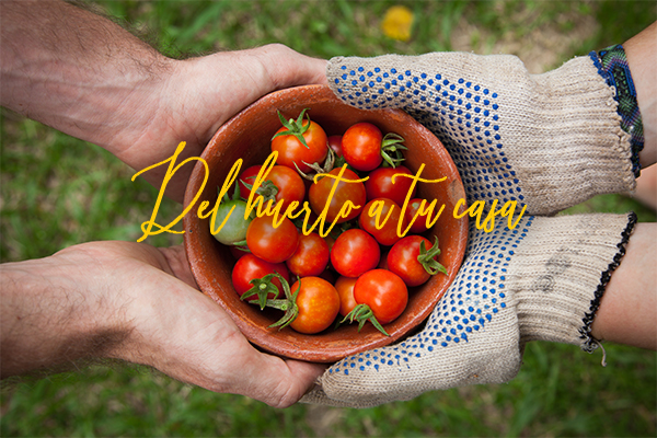 Del huerto a tu cocina
