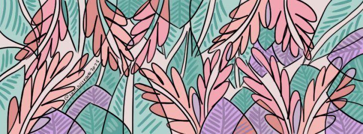 Artista del mes: Sofía Altieri (Caos Ilustrado)