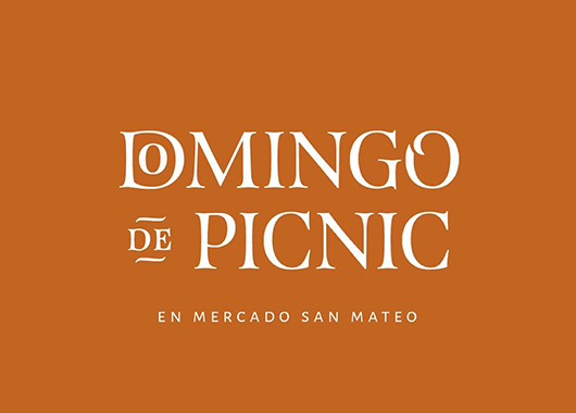 Domingo de Picnic