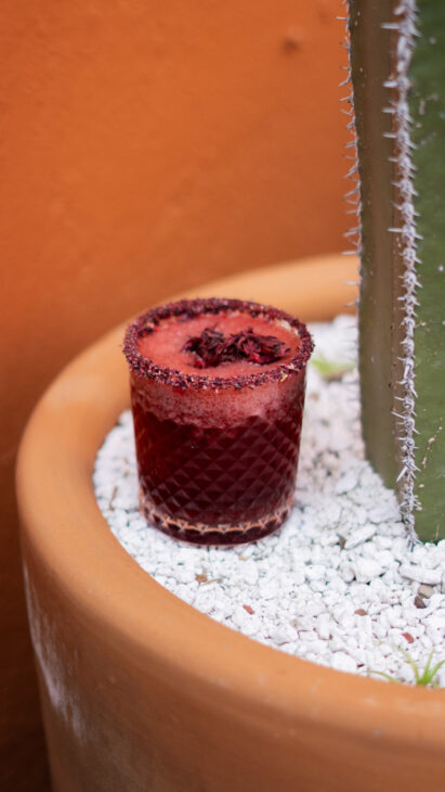 Tres Zapotes: La mesa es una mezcla de placeres