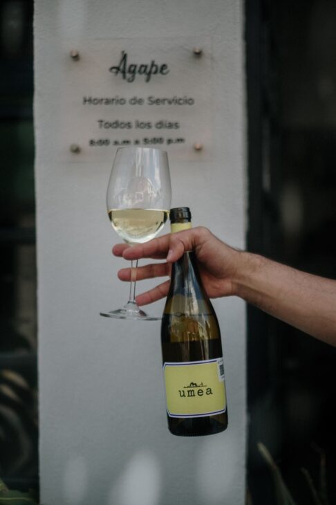 Especiales, menús de temporada y más