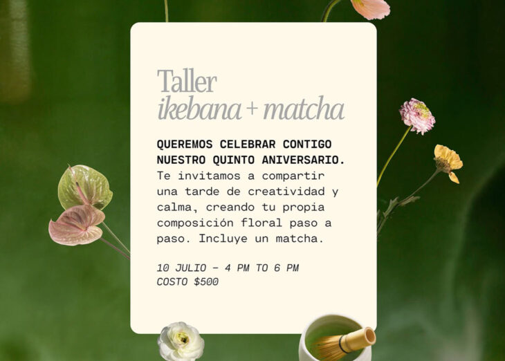 Taller Ikebana + Matcha